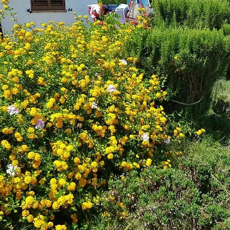 Casa Vacanze Frontemare 