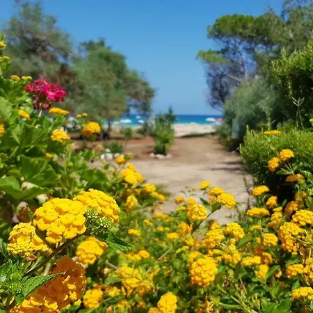 Casa Vacanze Frontemare 